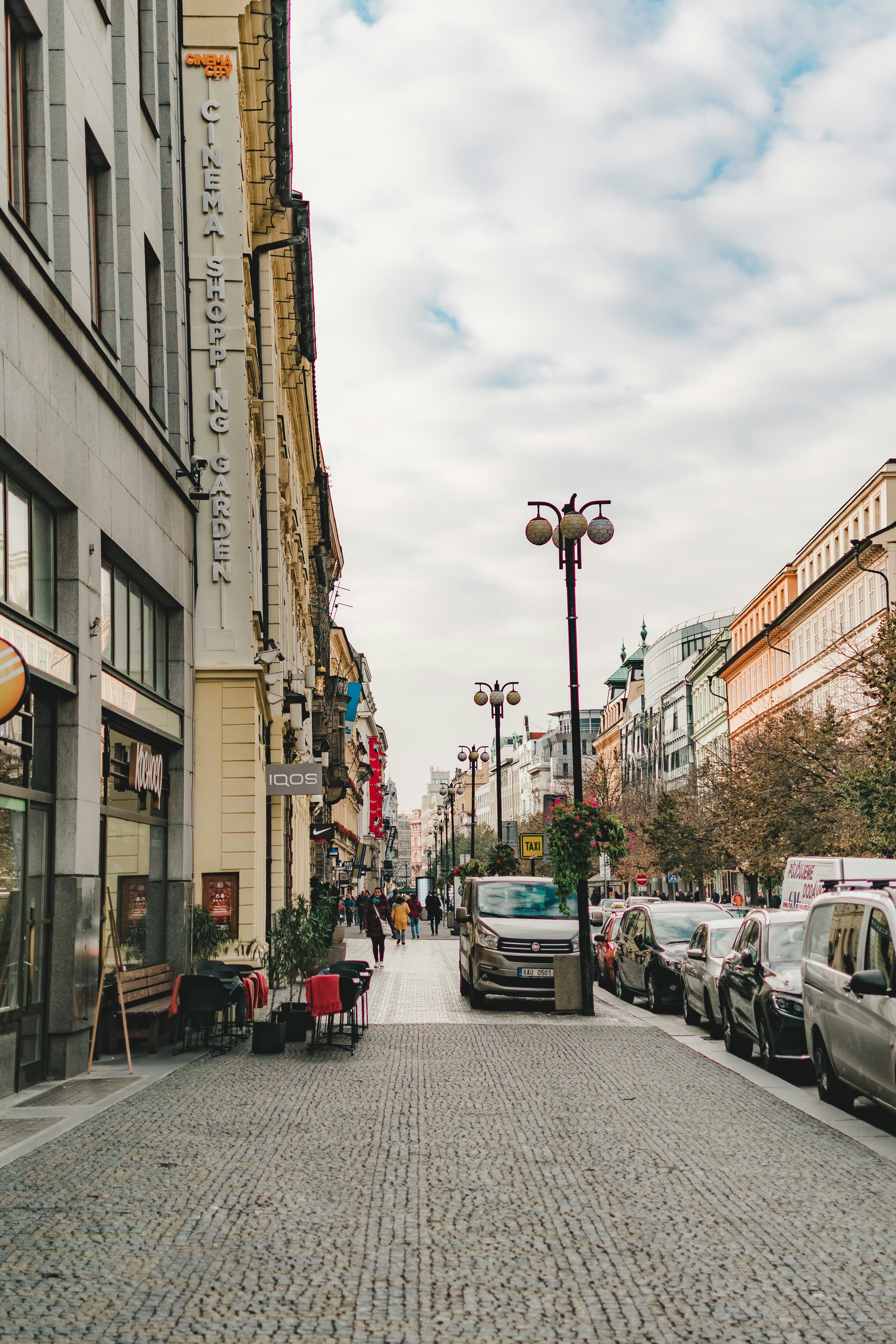 Photo by romanivna13