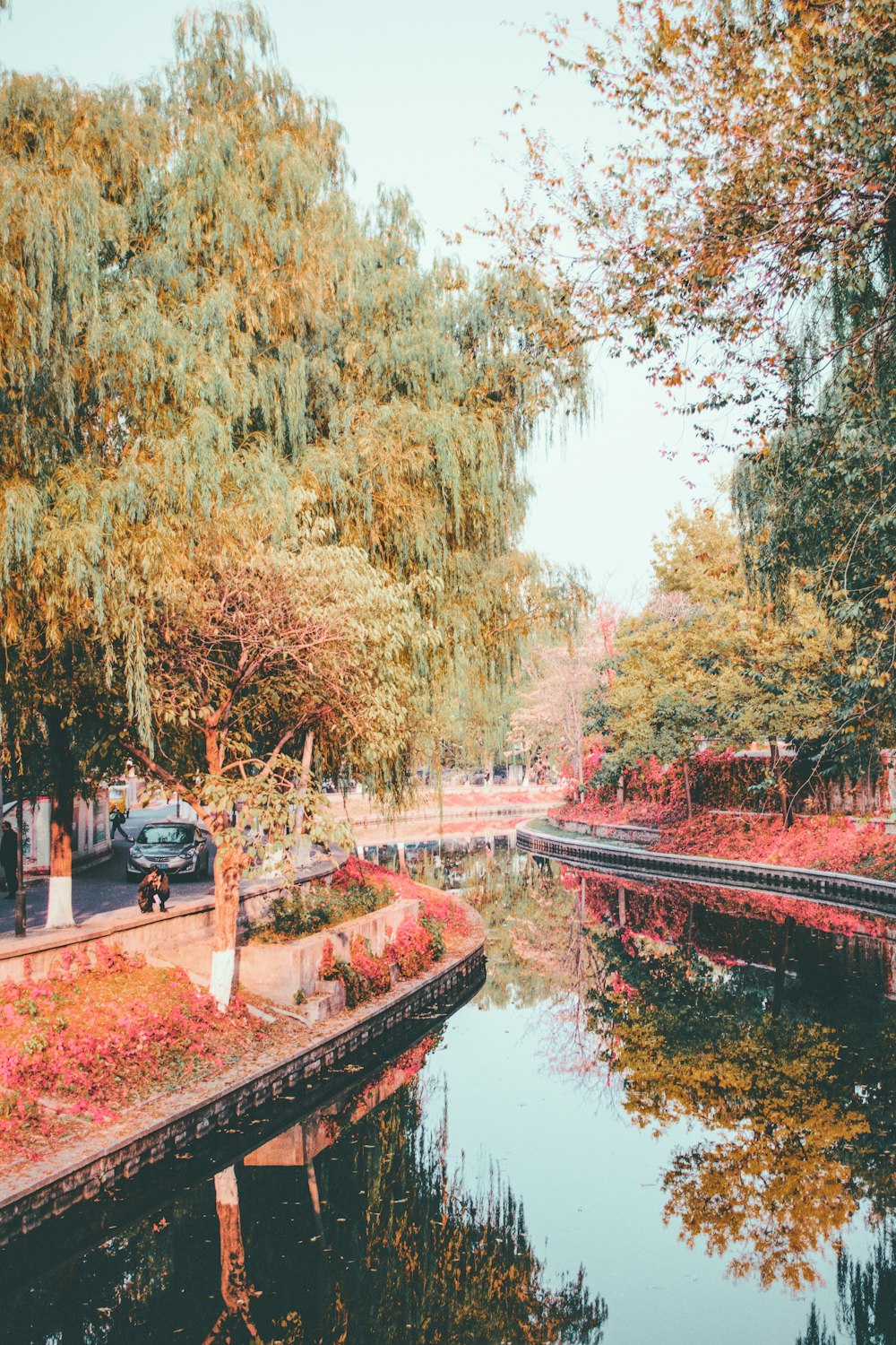 person standing beside river