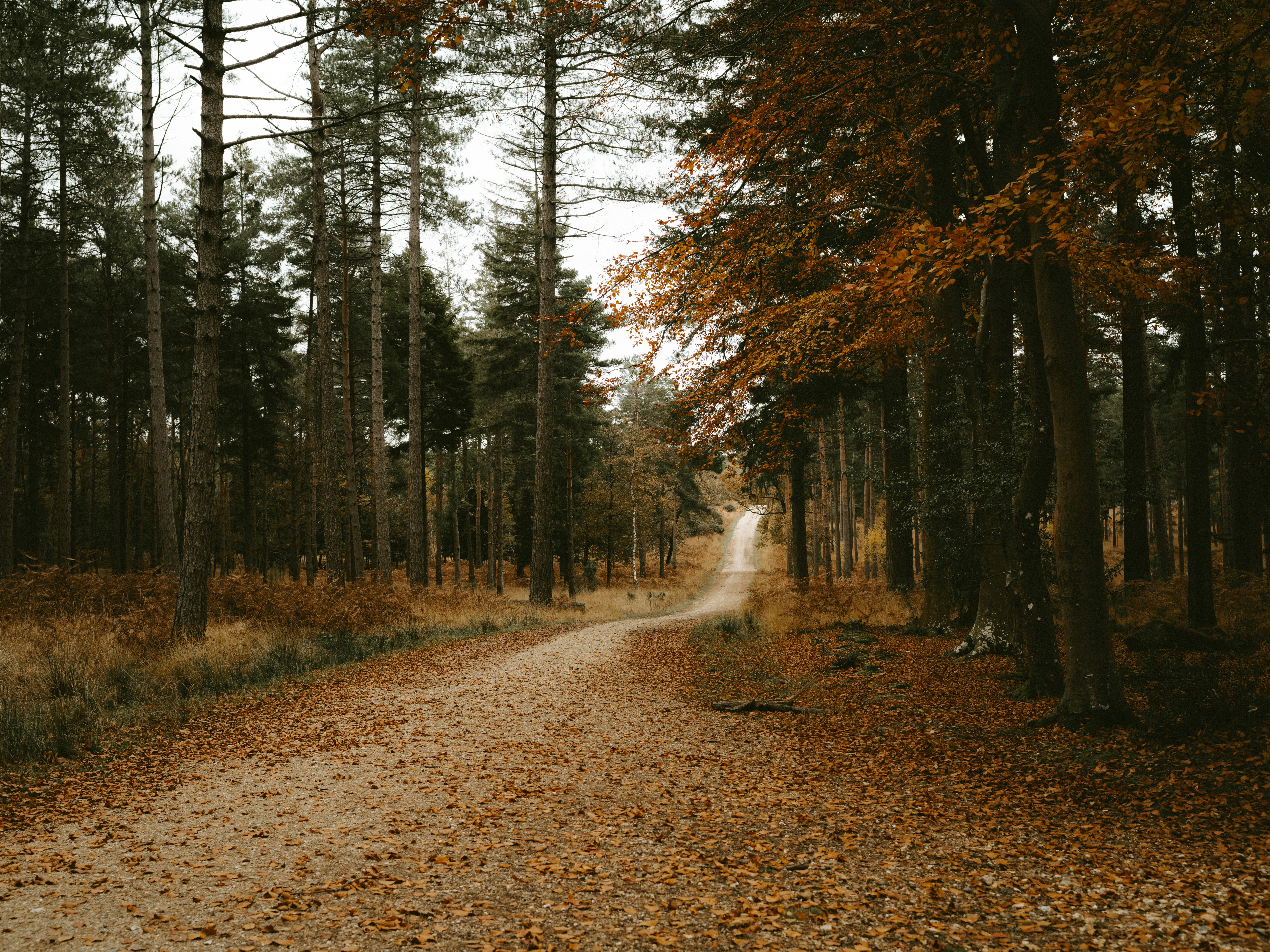 Photo by anniespratt