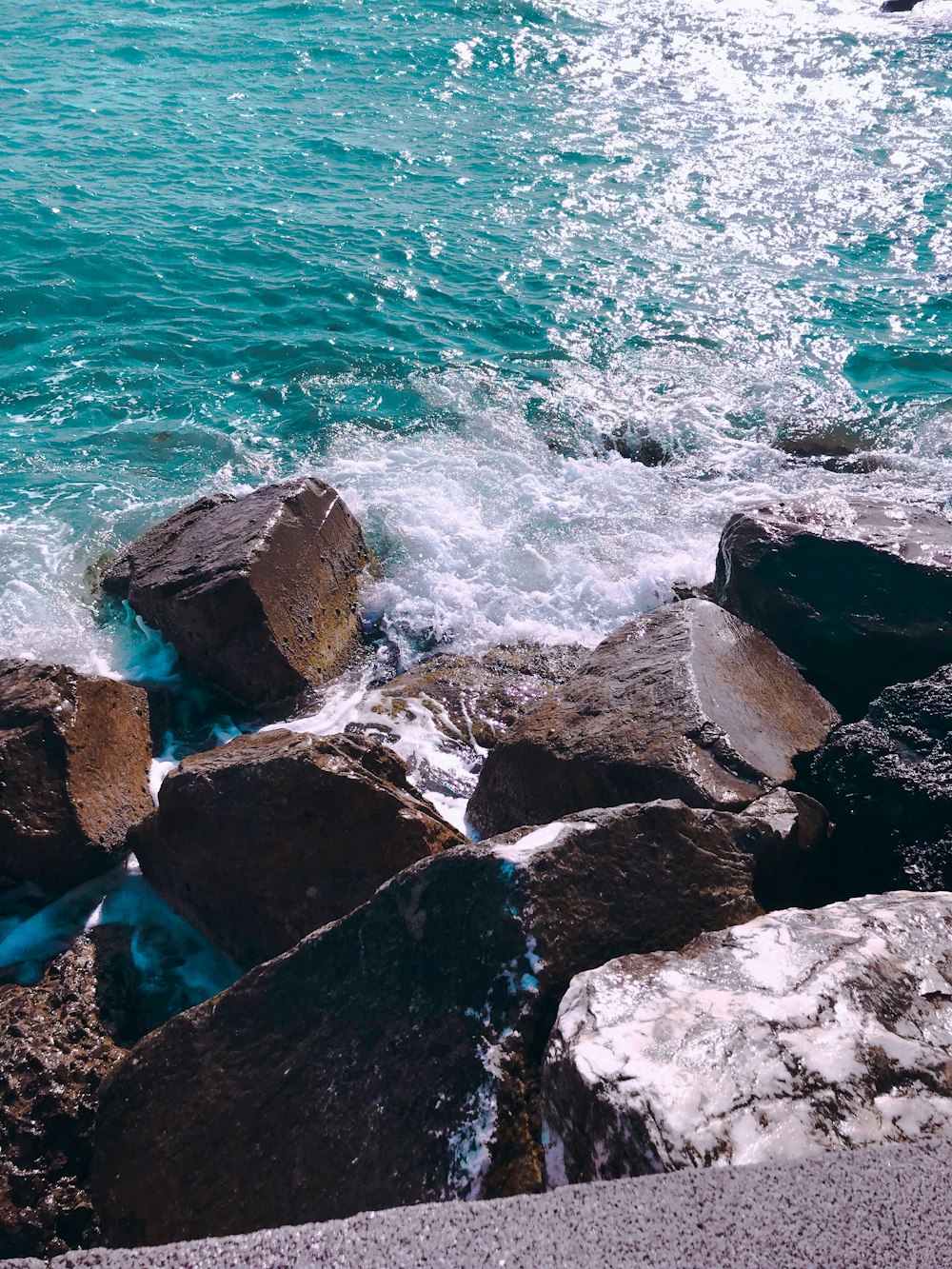 wavy seashore during daytime