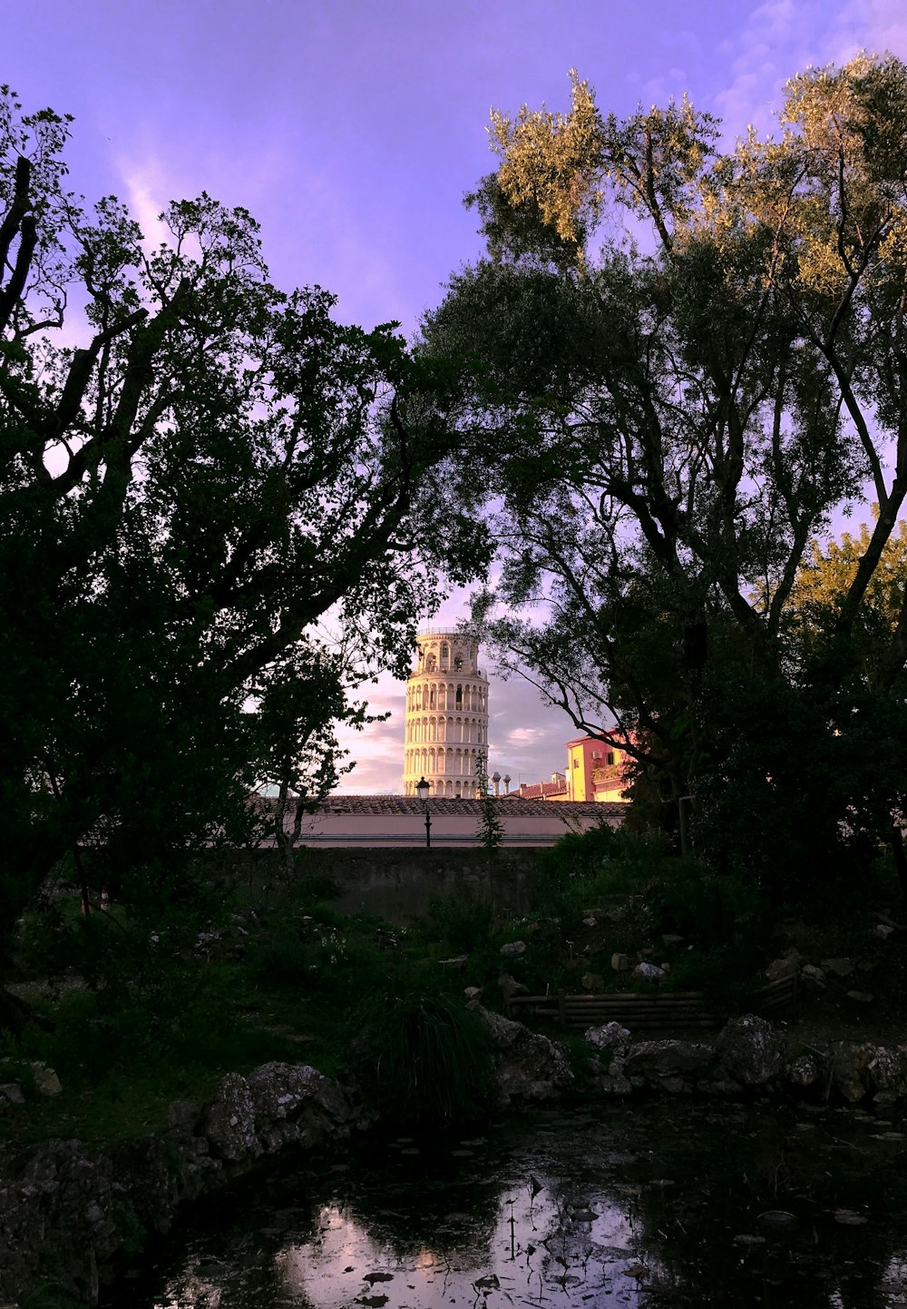 árvores ao lado da lagoa