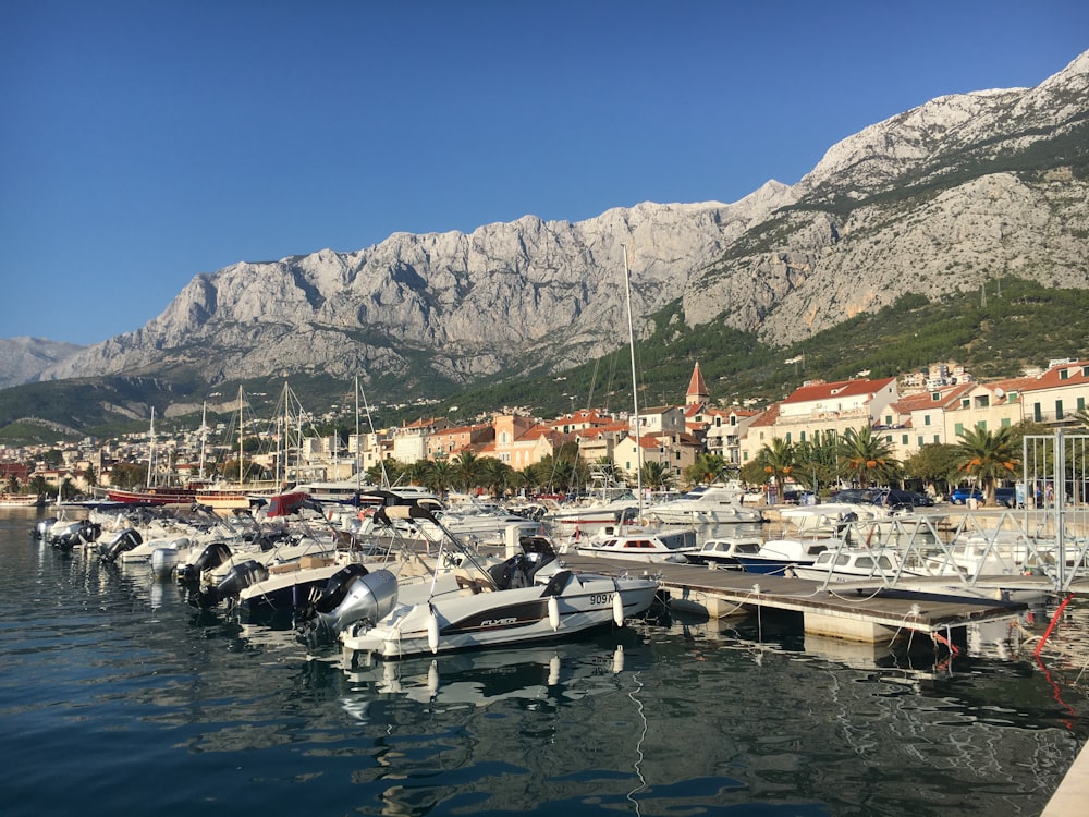 boats beside dock