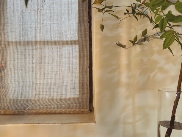 A serene studio corner with moody botanical prints and warm, diffused light casting gentle shadows.