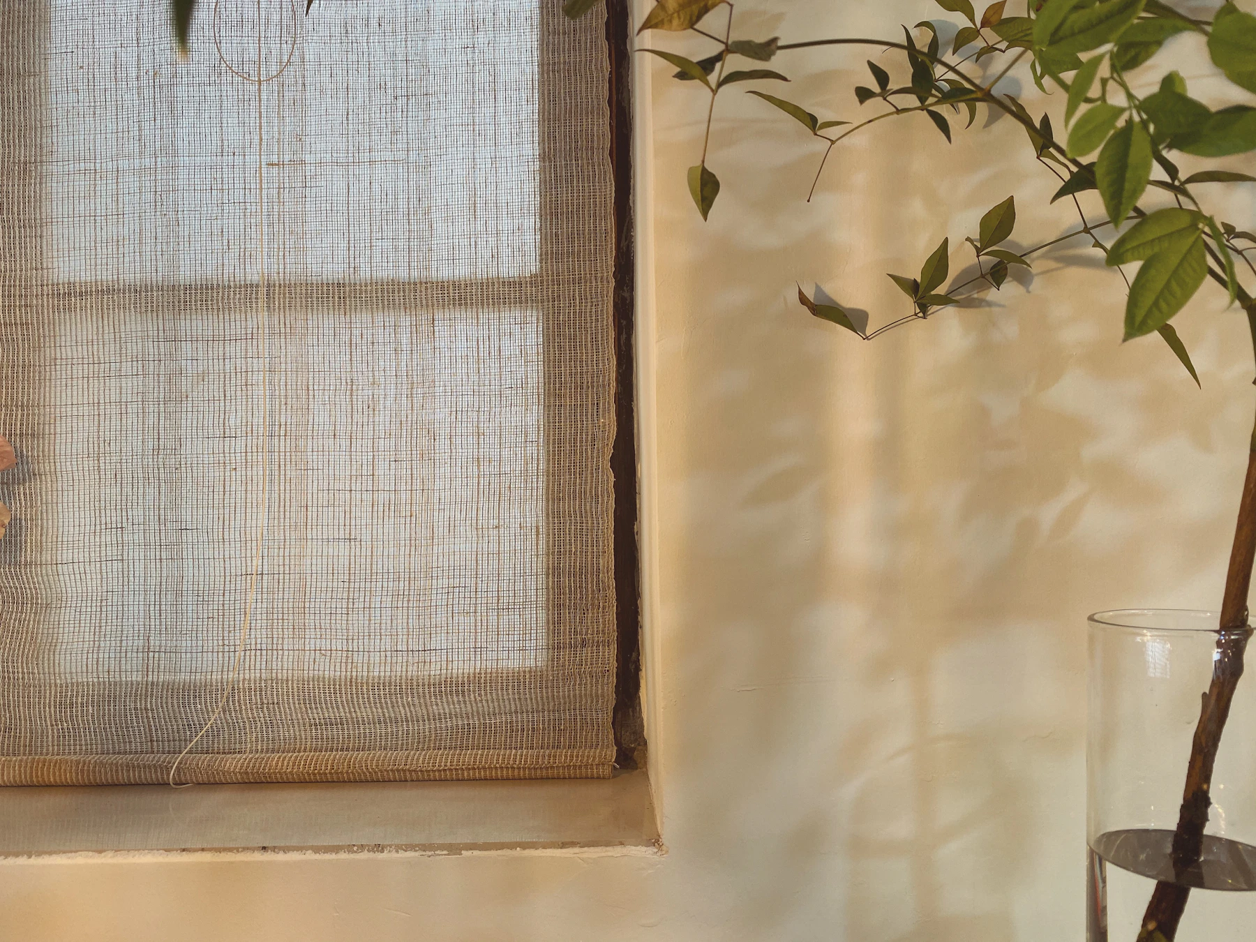 Soft light through a linen blind