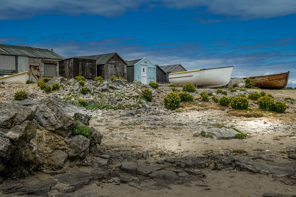 white boat on shore near houses