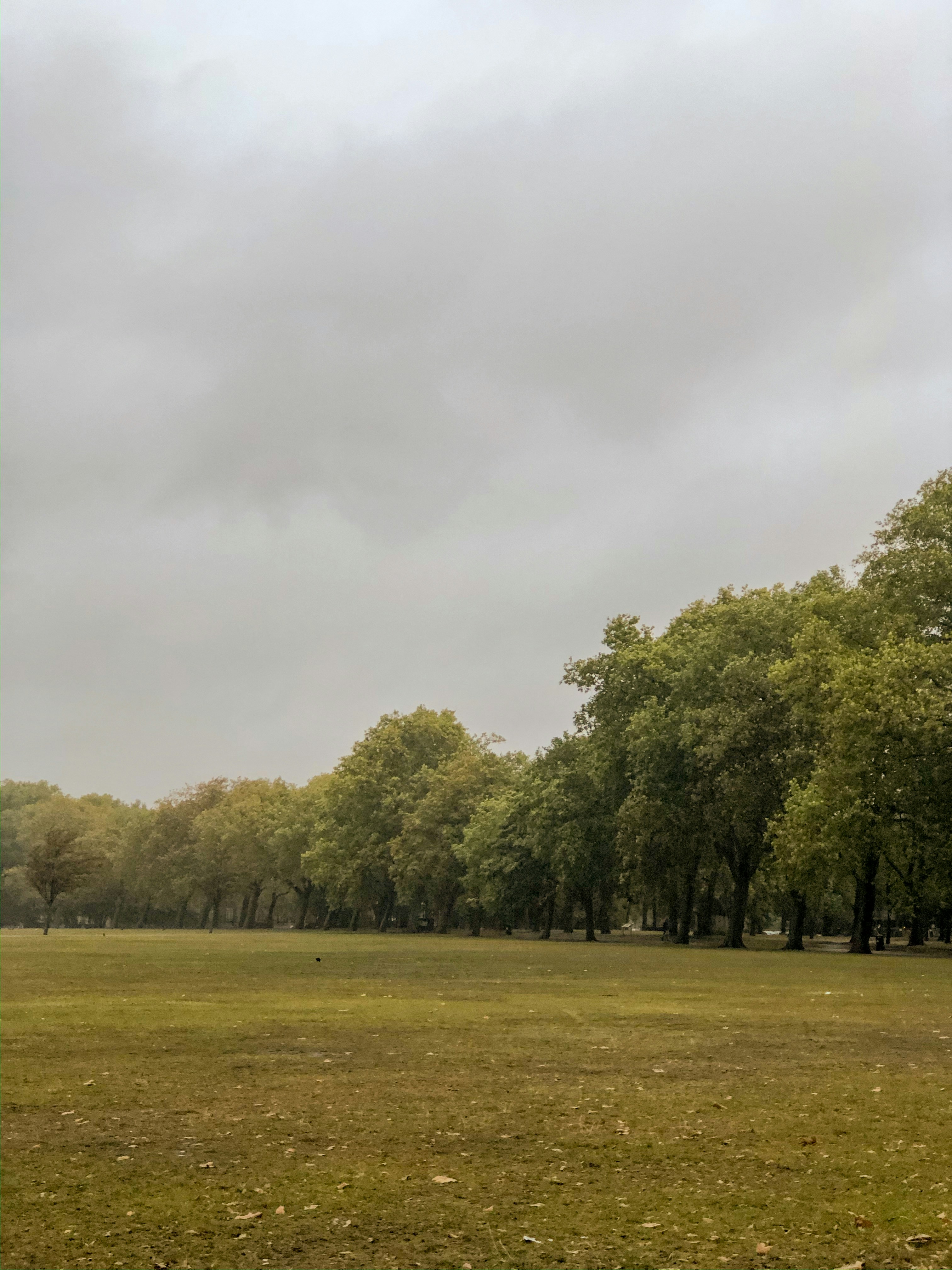 Photo by gabrielkraus