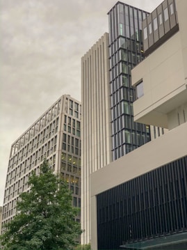 Three modern office buildings with glass and metal facades are seen alongside a leafy green tree. The architecture features vertical lines and large windows, and the sky is overcast.
