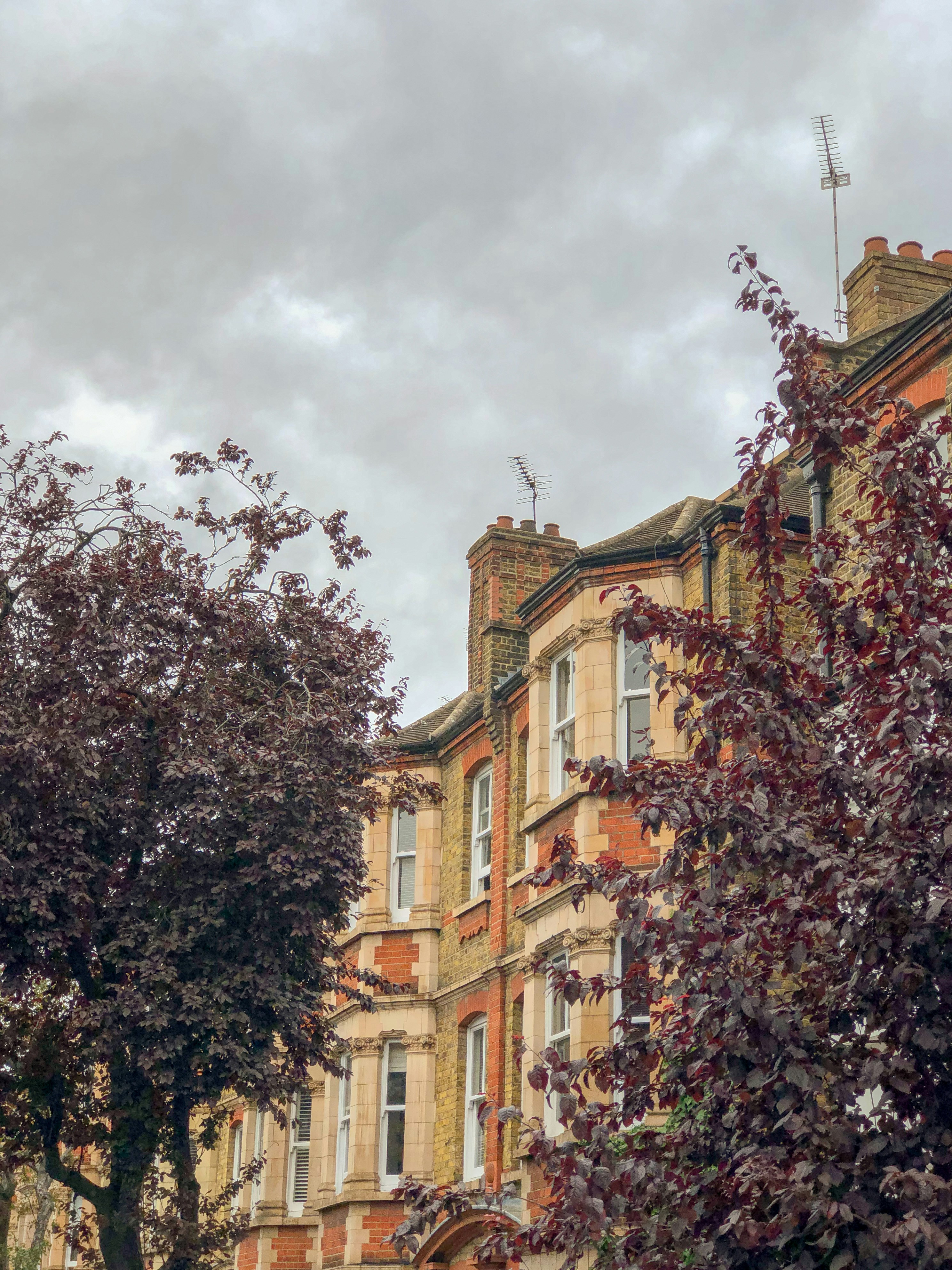 Photo by gabrielkraus