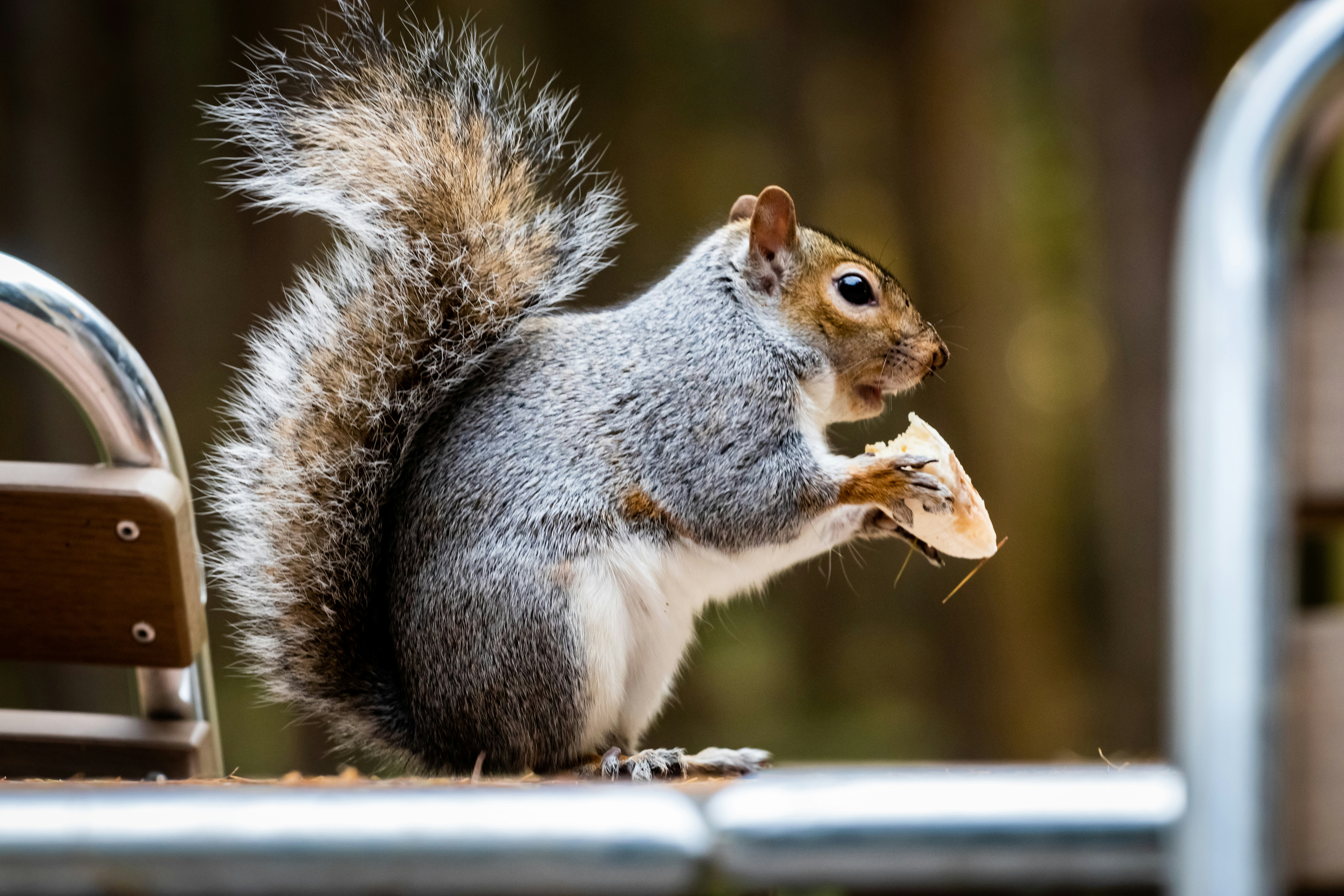 Photo by jackpriceburns