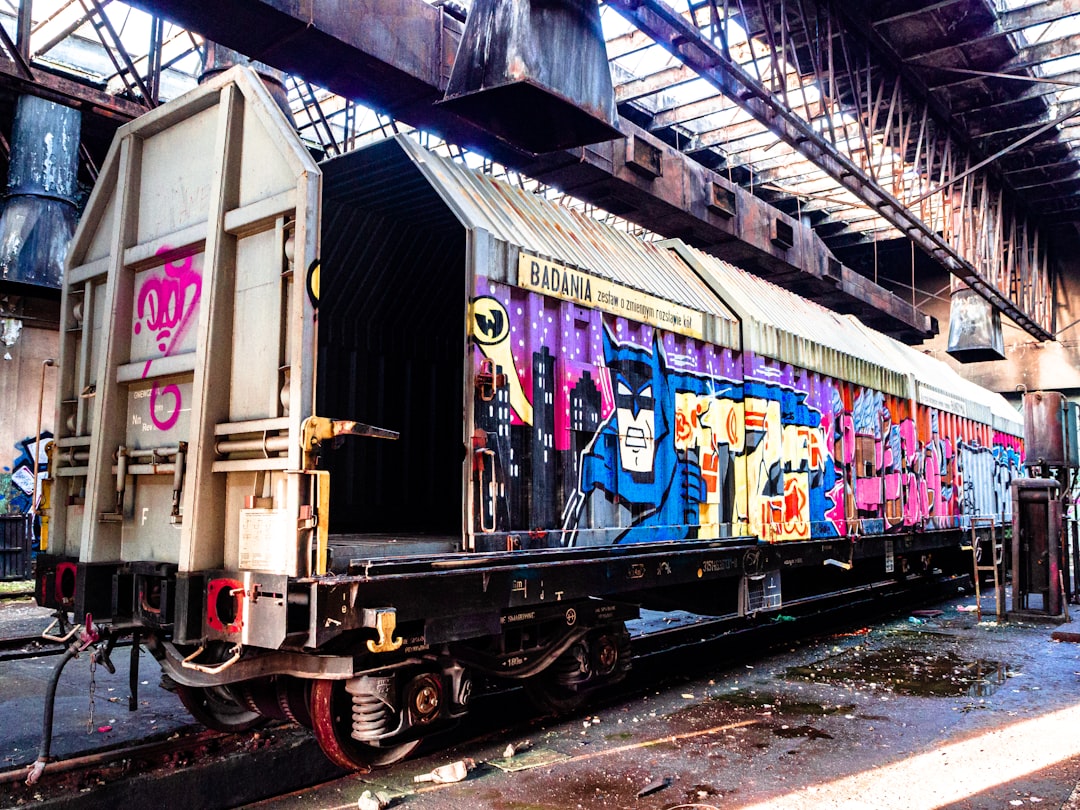 white and multicolored train
