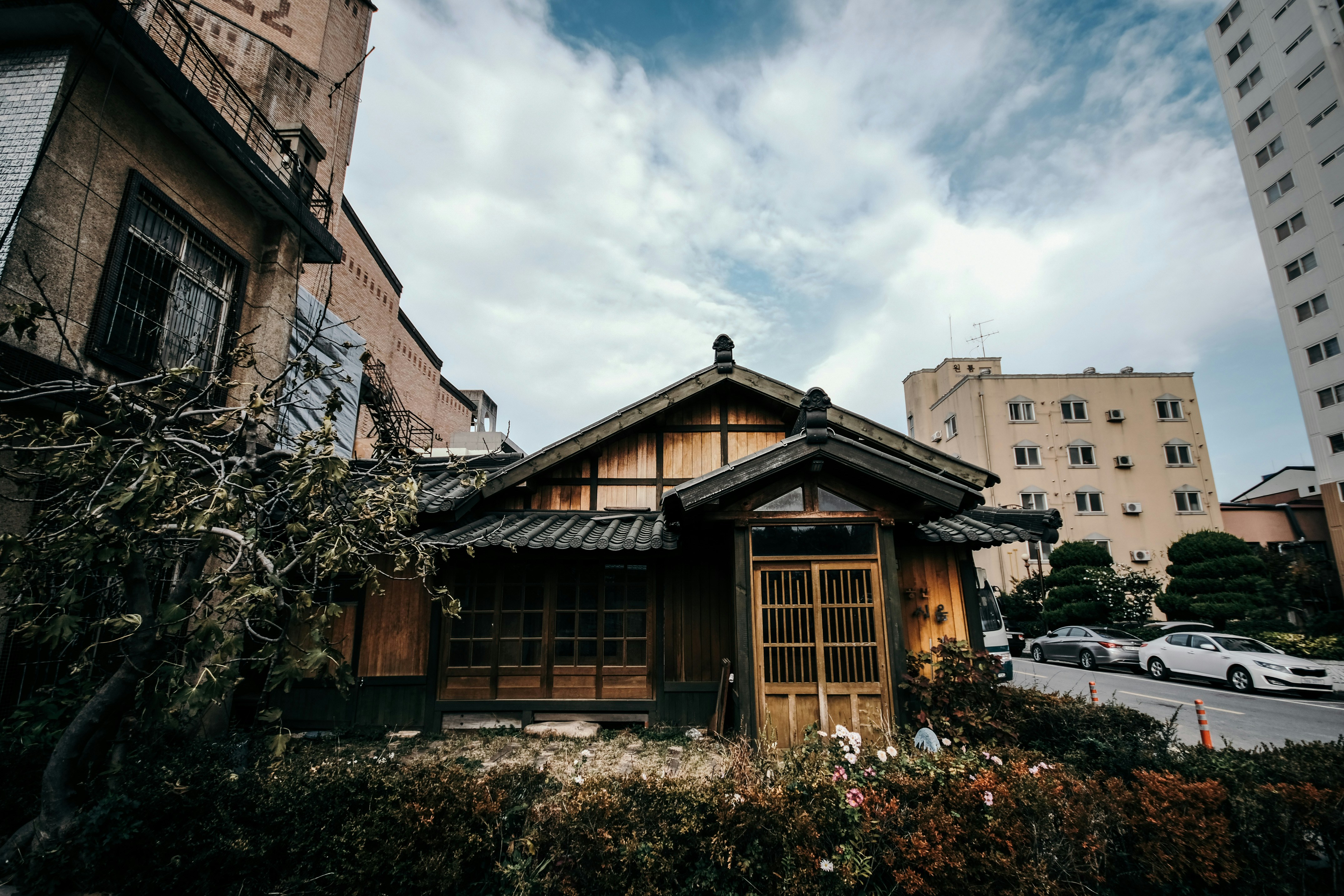 Photo by insungpandora