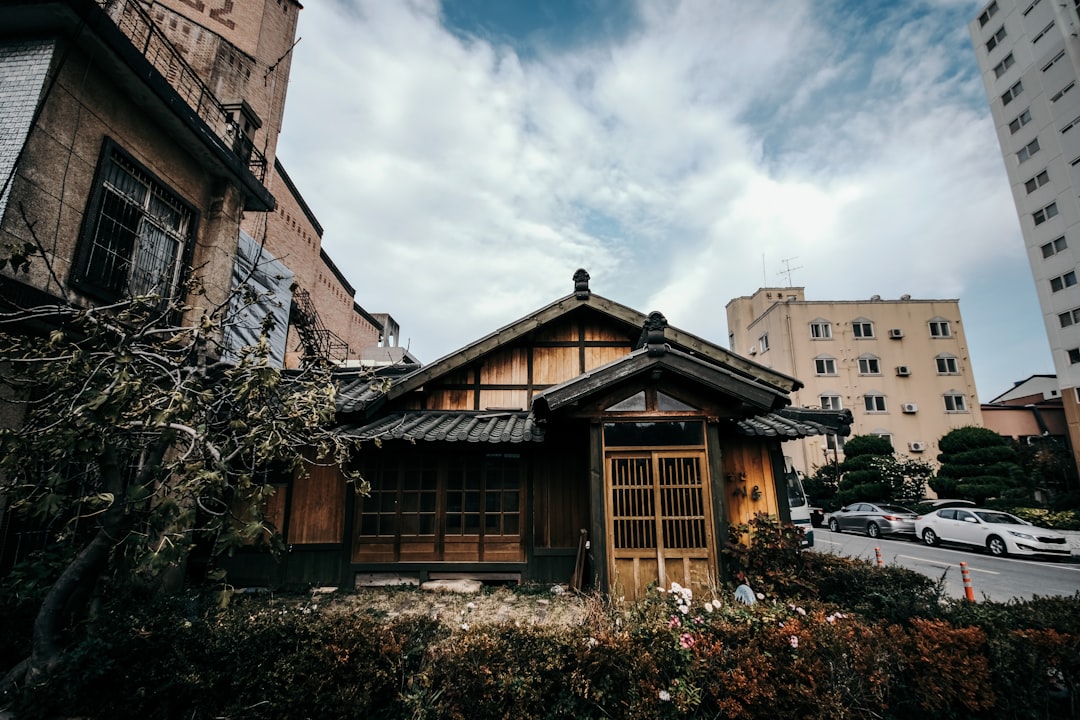 brown wooden house beside parked vehicles