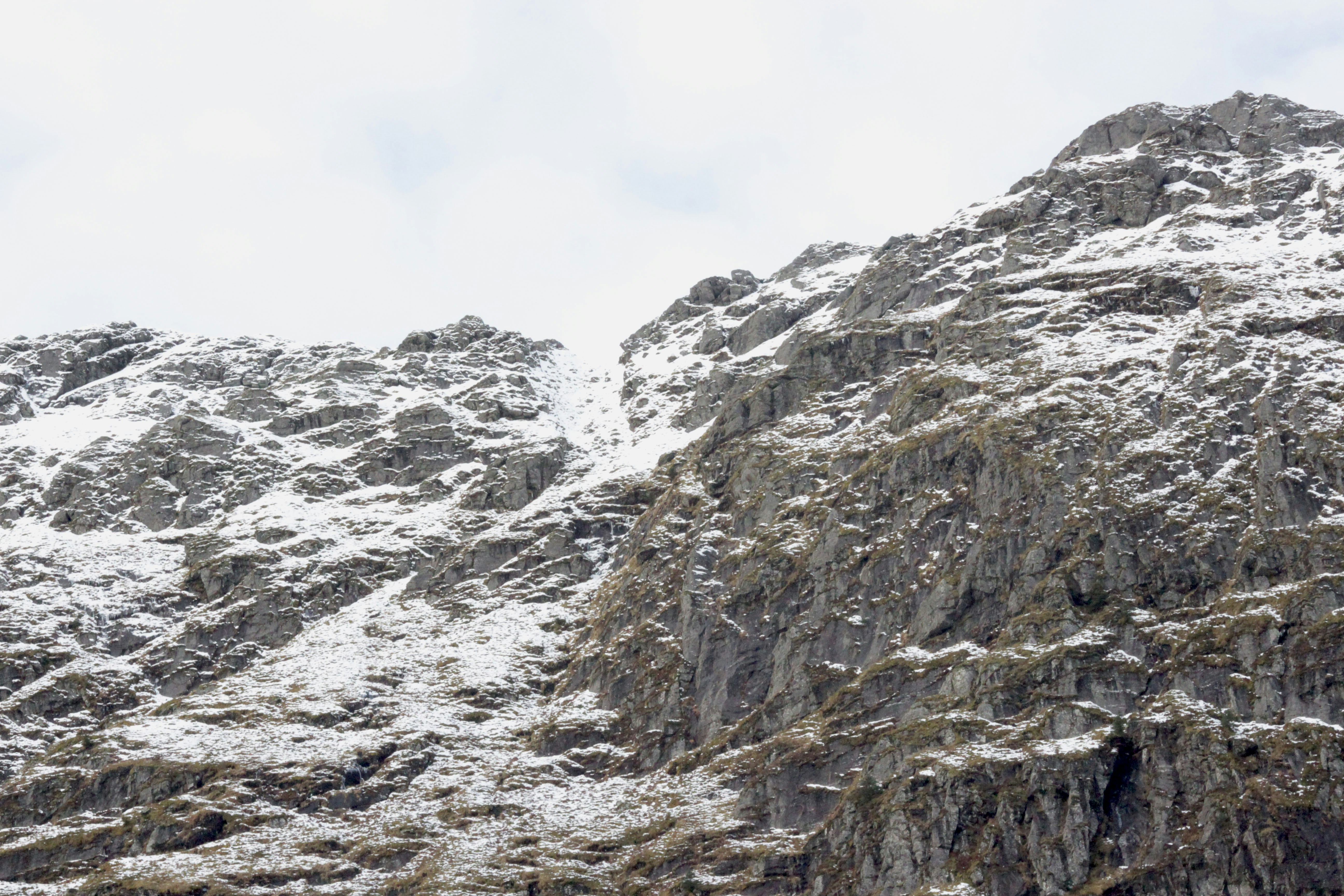 Photo by level_up_studio