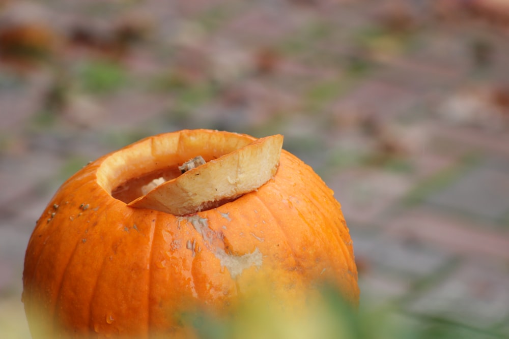 orange pumpkin