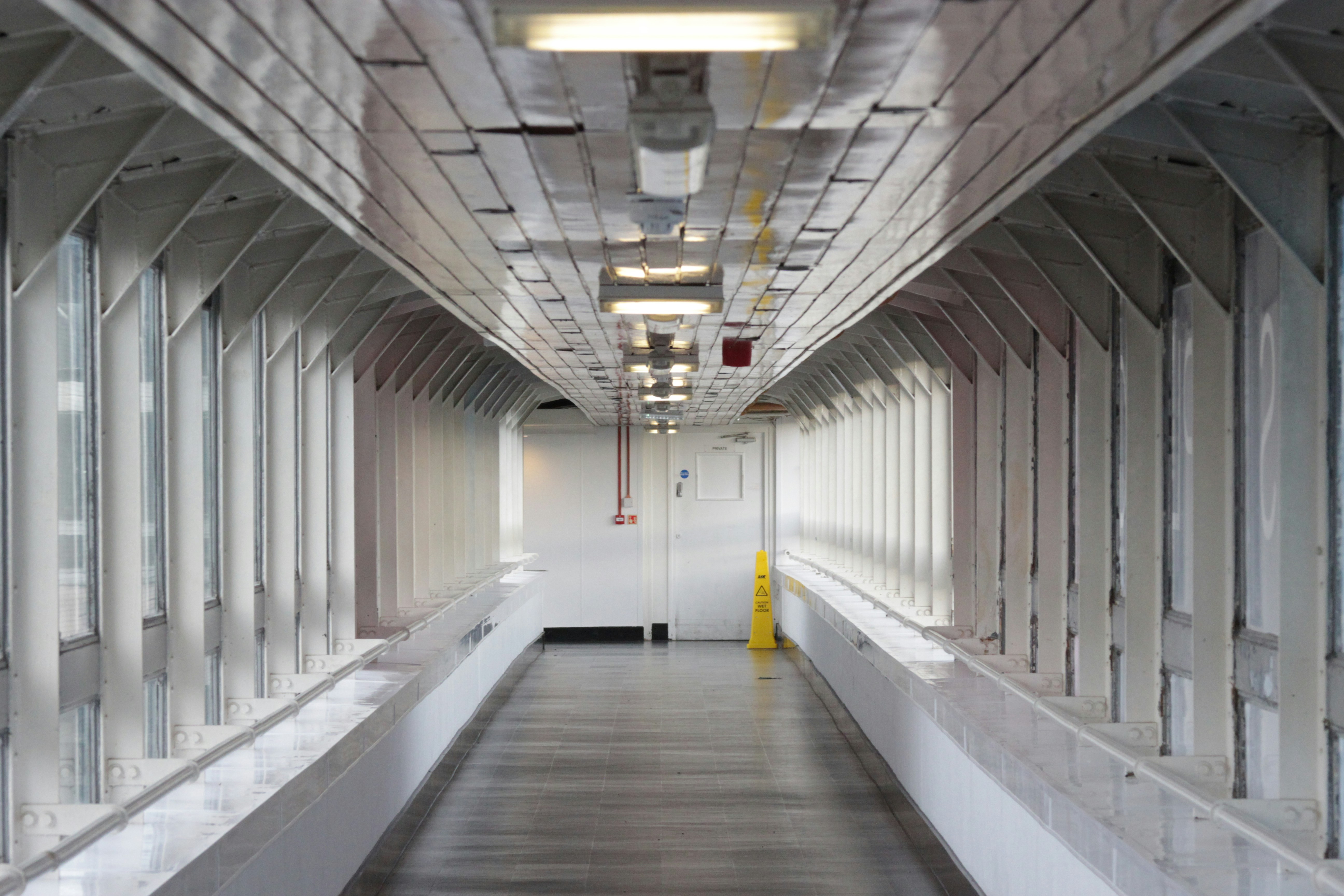 Photo by level_up_studio