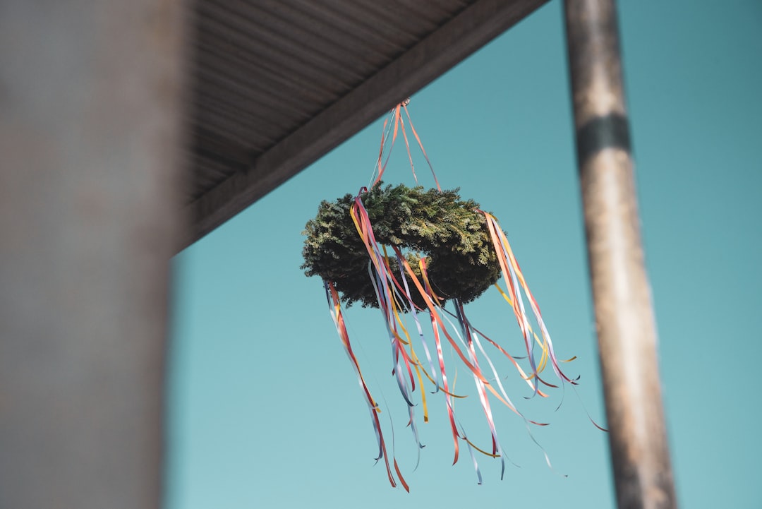 round green hanging decor during daytime