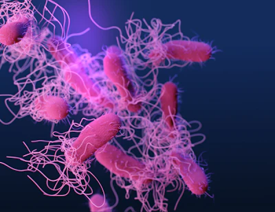 Psychological Stress Triggers Microbial Shifts That Link Directly to Chronic Disease Risks
