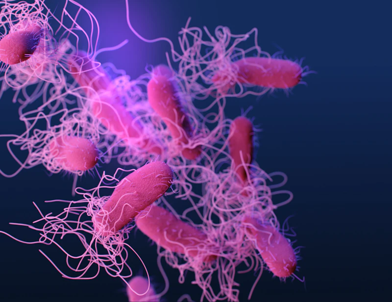 Psychological Stress Triggers Microbial Shifts That Link Directly to Chronic Disease Risks