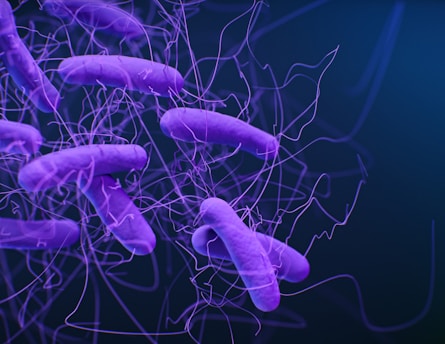 Purple rod-shaped bacteria are shown in a magnified view with long string-like appendages on a dark background, emphasizing their detailed structure.