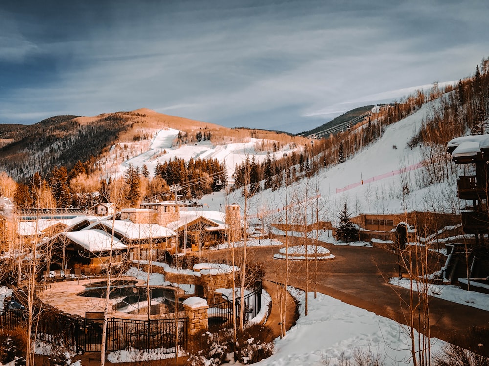 brown wooden houses during daytime