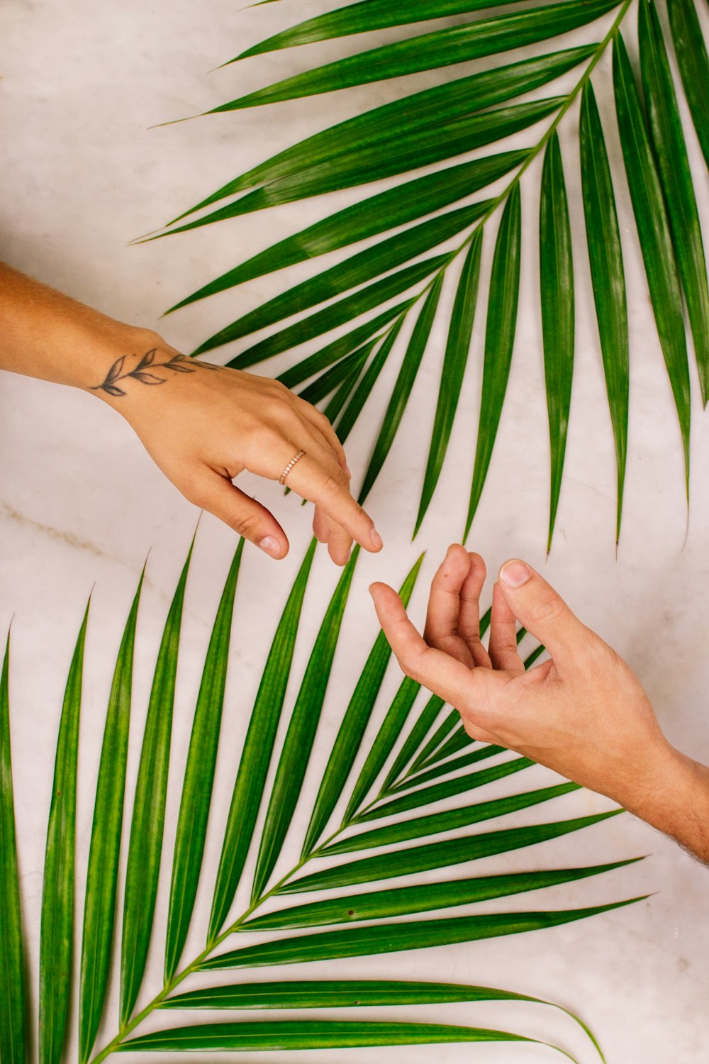 Die Hand der Person in der Nähe des Palmblatts