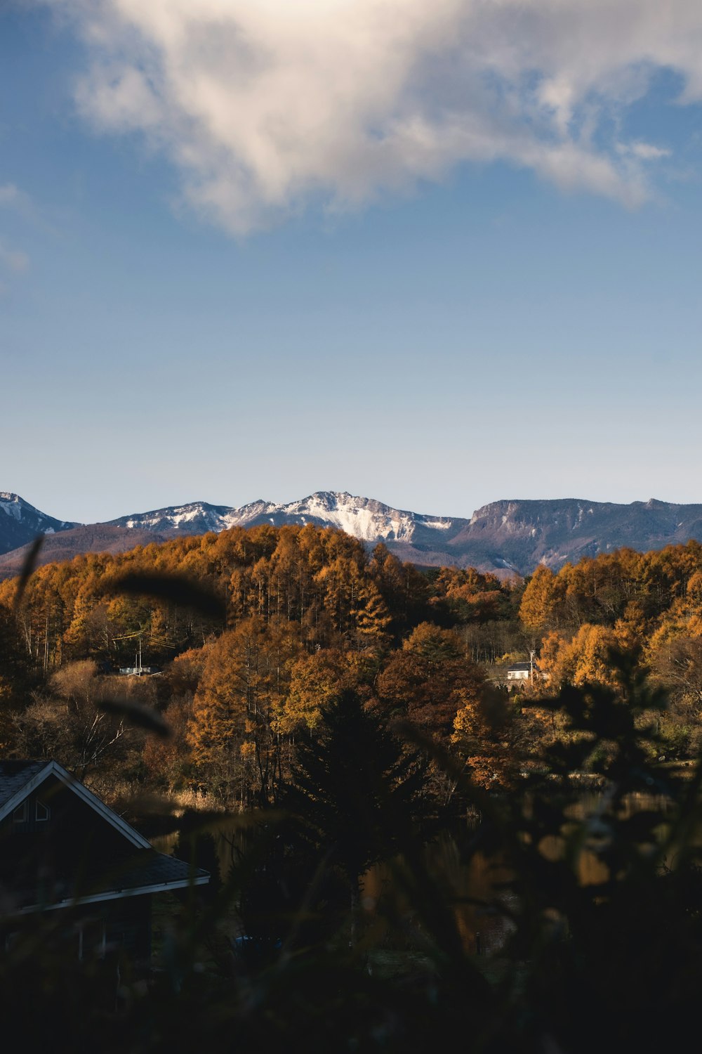 green mountain during daytime