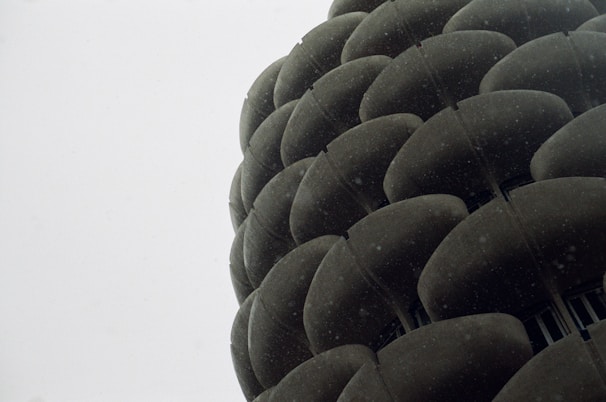 The image depicts a series of rounded, stacked concrete forms resembling a honeycomb pattern on a building facade. The forms are dark gray, and there is a gray, overcast sky in the background.