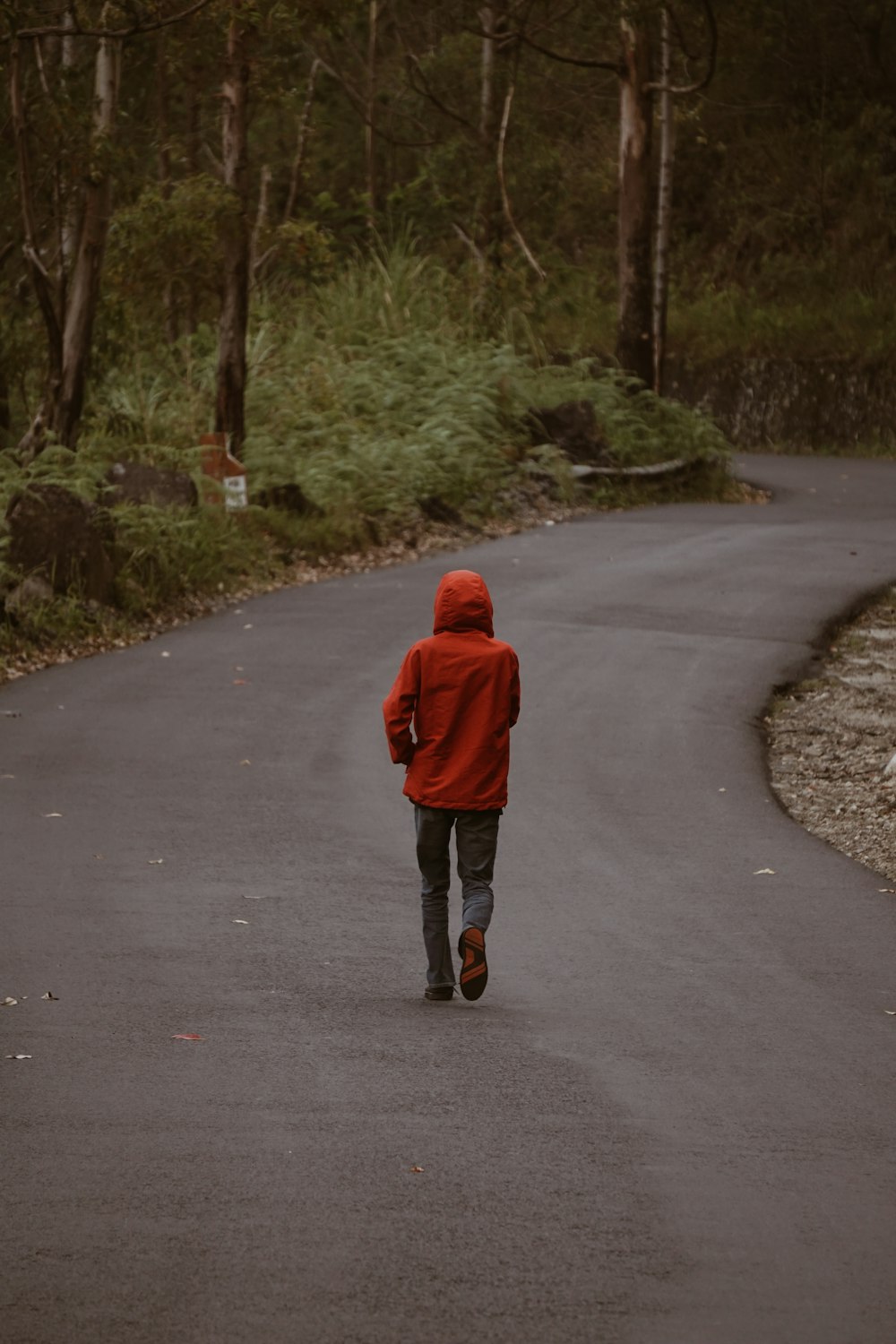 person wearing red hooded jacket