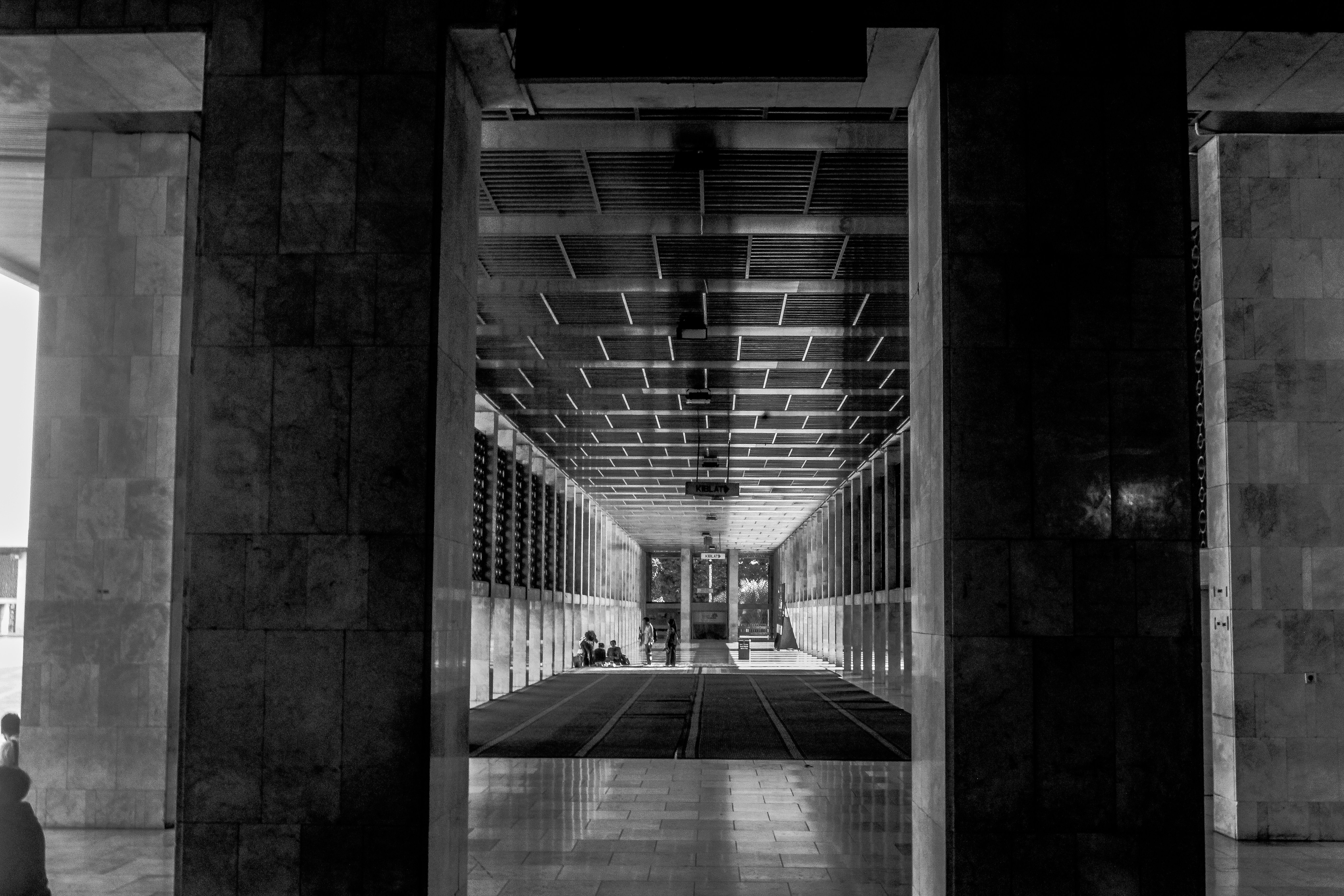 Photo by alehandrewmichael