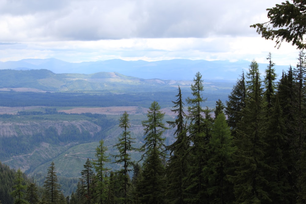 aerial photography of trees in the mountain under a cloudy sky