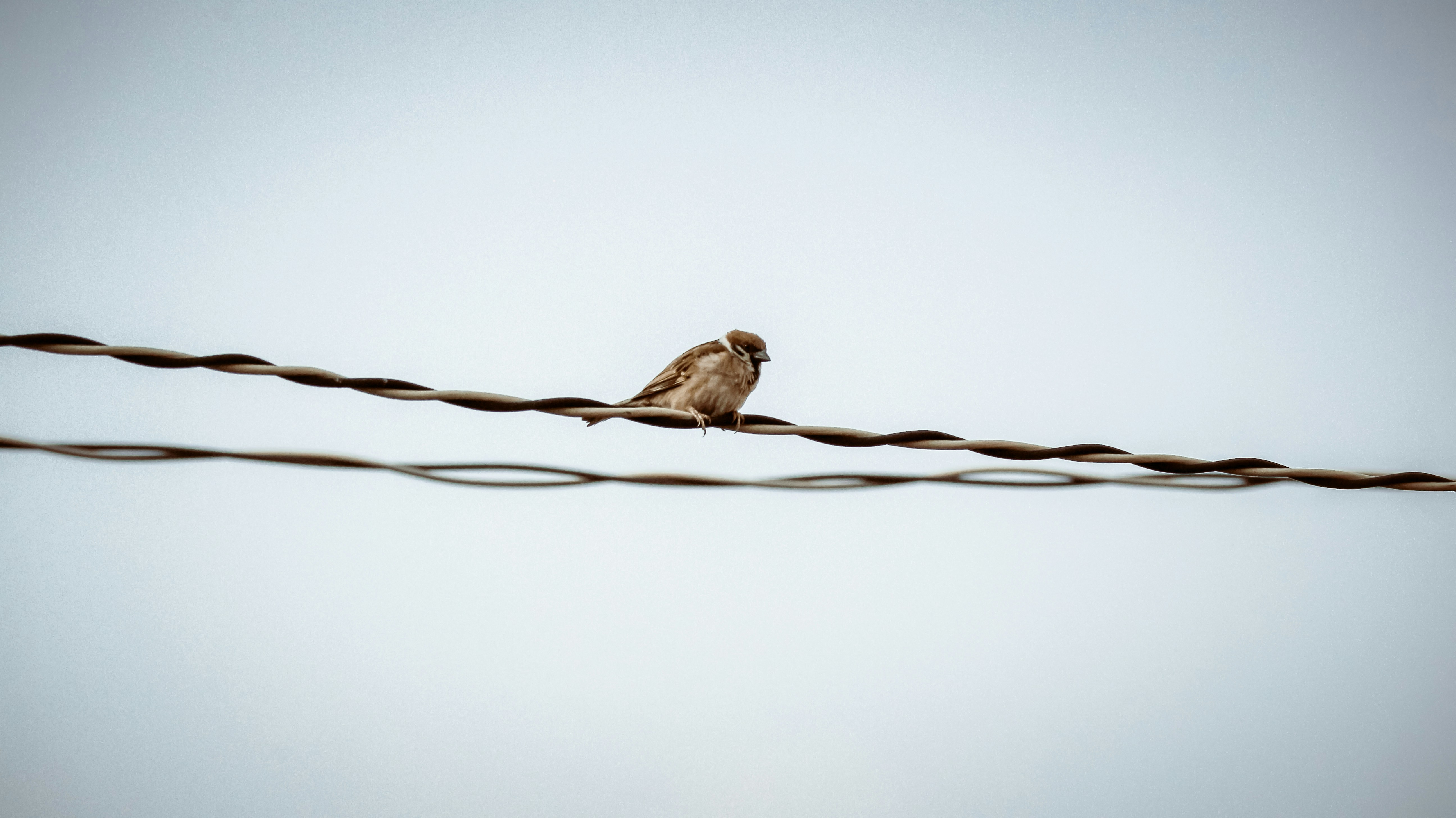 Photo by streetwindy