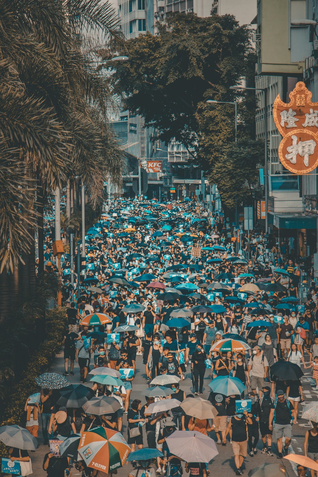 people walking on street with umbrellas