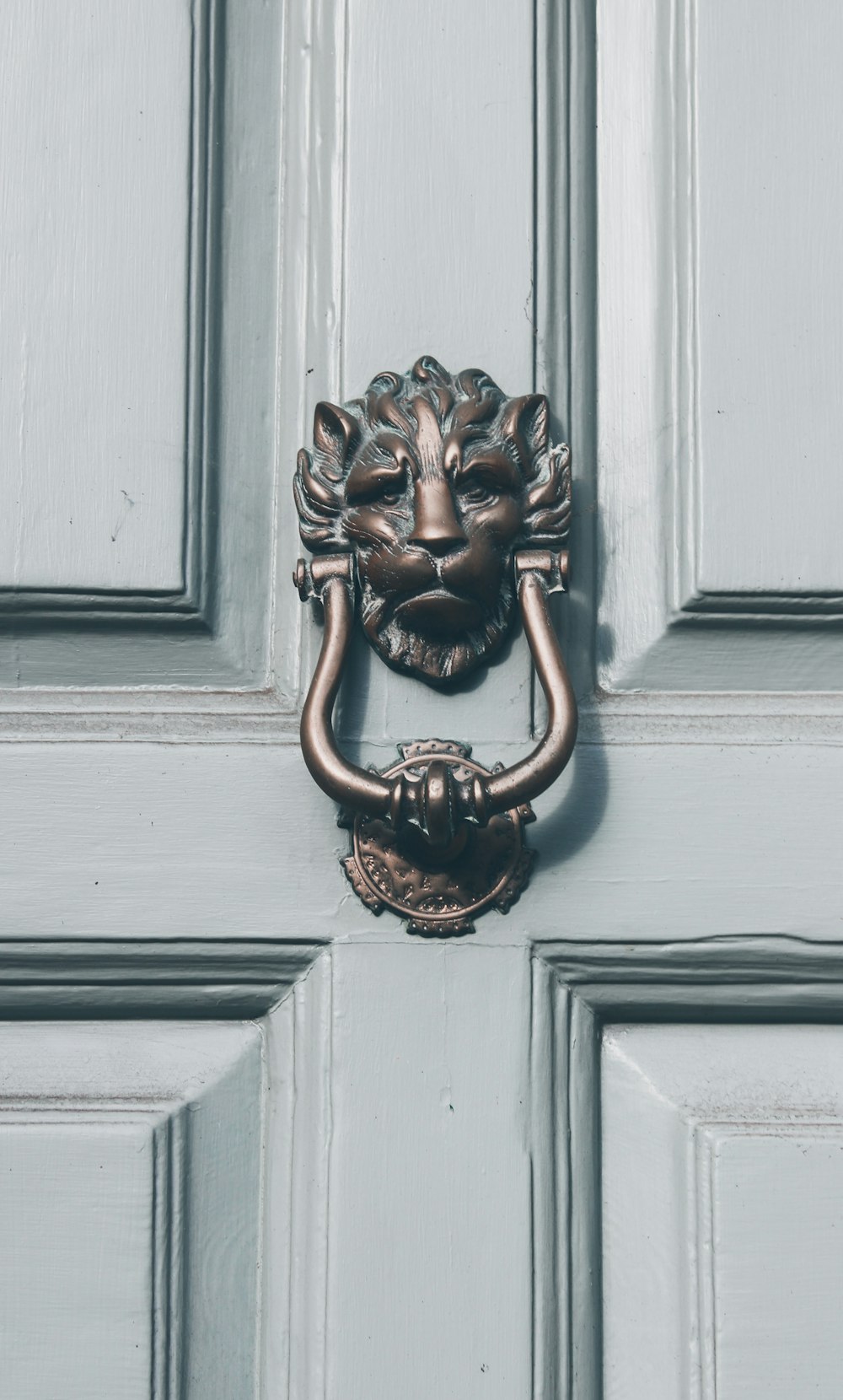 brass lion themed door knocker