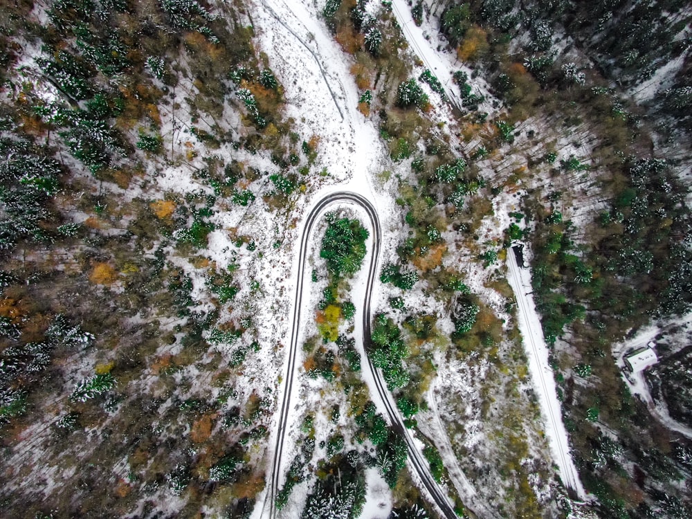 aerial photography of road way surrounded by trees during winter