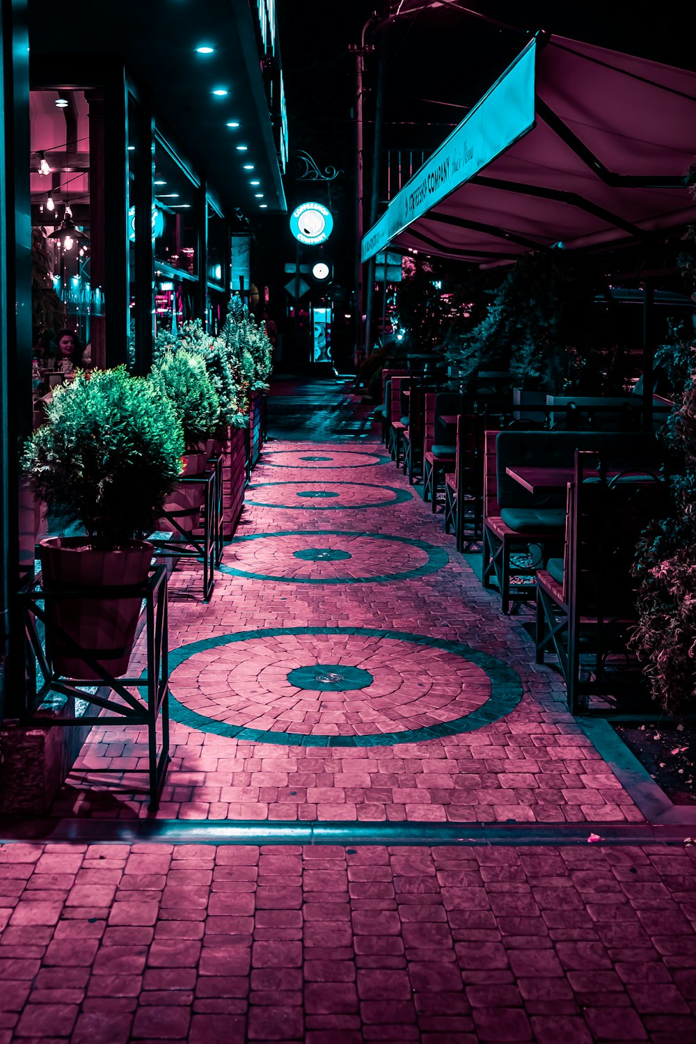 green leafed plants on black steel rack on sidewalk in front of store with glass window