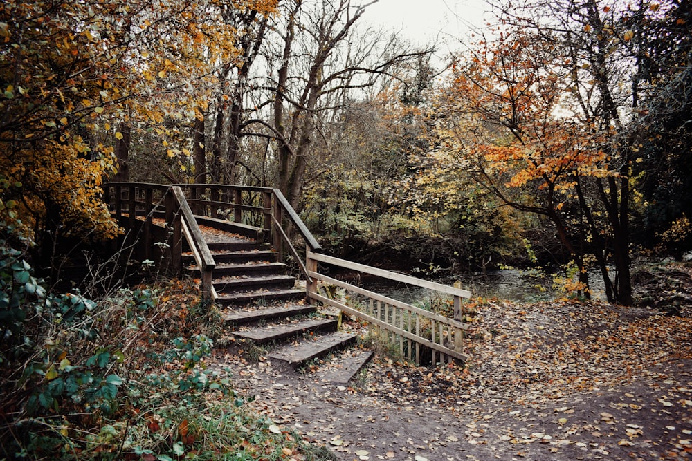 a set of stairs leading up to a river