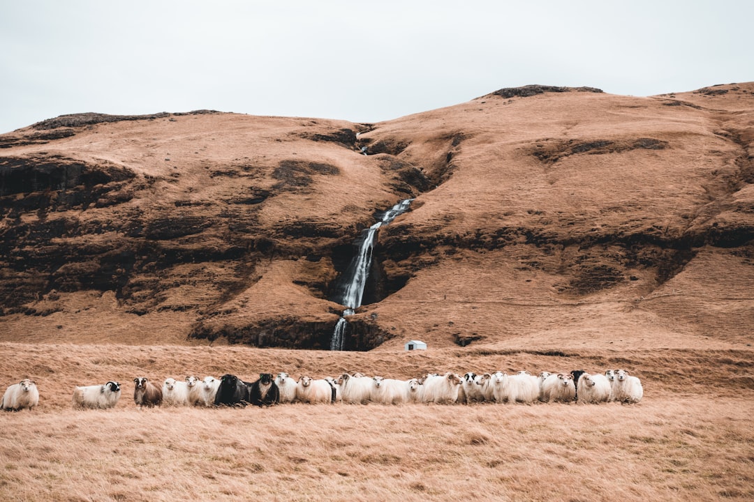 brown waterfall between rock formations