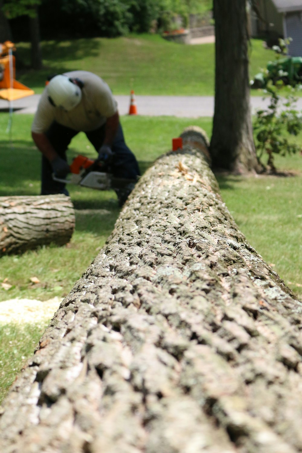 man cutting tree branch using chain saw