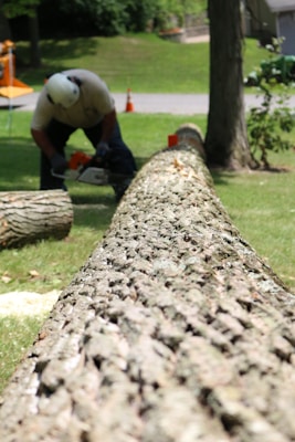 Tree Lopping