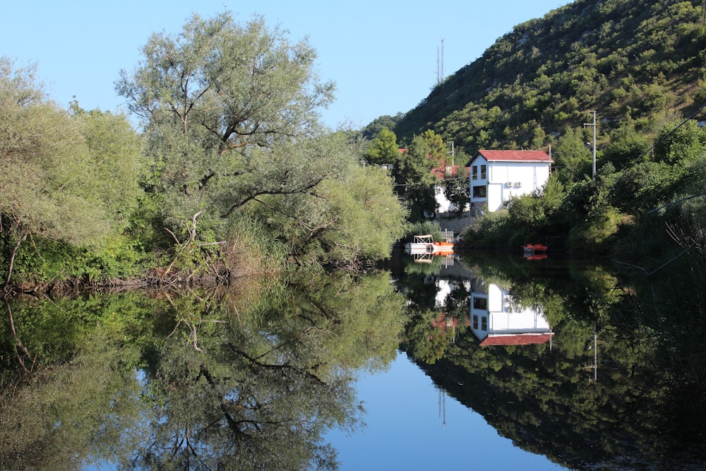 alberi verdi circondavano lo specchio d'acqua