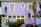A purple two-story house with light green shutters and trim is being worked on by two people, each on a separate ladder. One person is near the window on the left while the other is adjusting something near the lower windows on the right. The house is surrounded by tropical plants and shrubs, adding greenery to the scene.