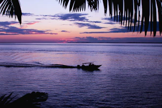 A serene sunset over the mangroves of Sine-Saloum with traditional pirogues floating gently.