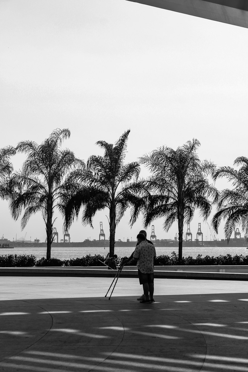 person near trees and sea during day