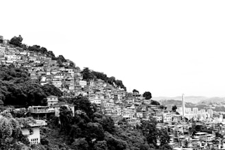 A densely populated hillside neighborhood with numerous similar-looking houses stacked closely together, surrounded by lush vegetation. The landscape extends to an urban area in the distance, featuring taller buildings and a broader cityscape.