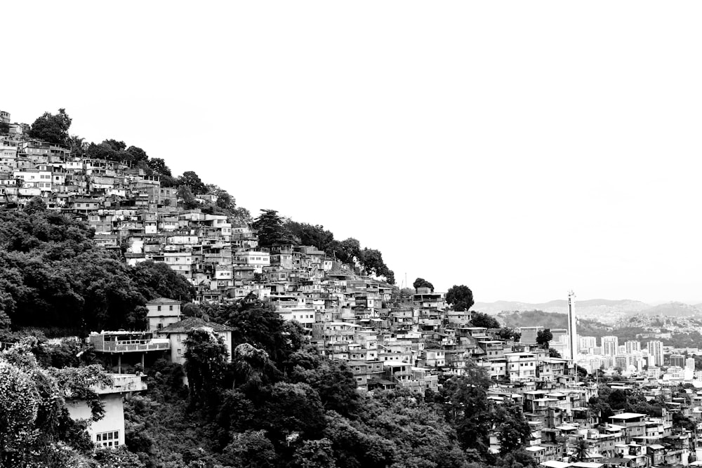 Photo en niveaux de gris de maisons sur la colline