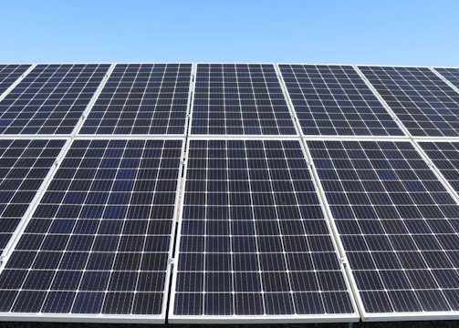 Solar panels gleaming under the sun at a renewable energy facility.