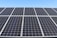 A field of solar panels is positioned under a clear blue sky. The panels are arranged in rows, capturing sunlight efficiently. The sleek, reflective surface of the panels gives a modern and clean look.
