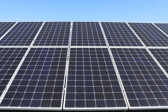 A field of solar panels is positioned under a clear blue sky. The panels are arranged in rows, capturing sunlight efficiently. The sleek, reflective surface of the panels gives a modern and clean look.