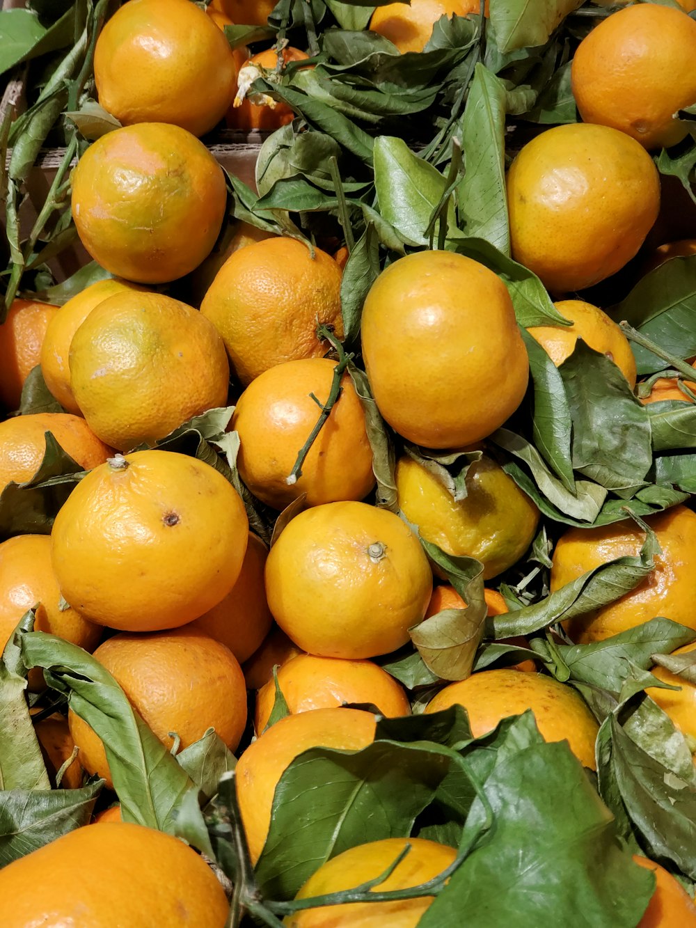 bunch of orange fruits