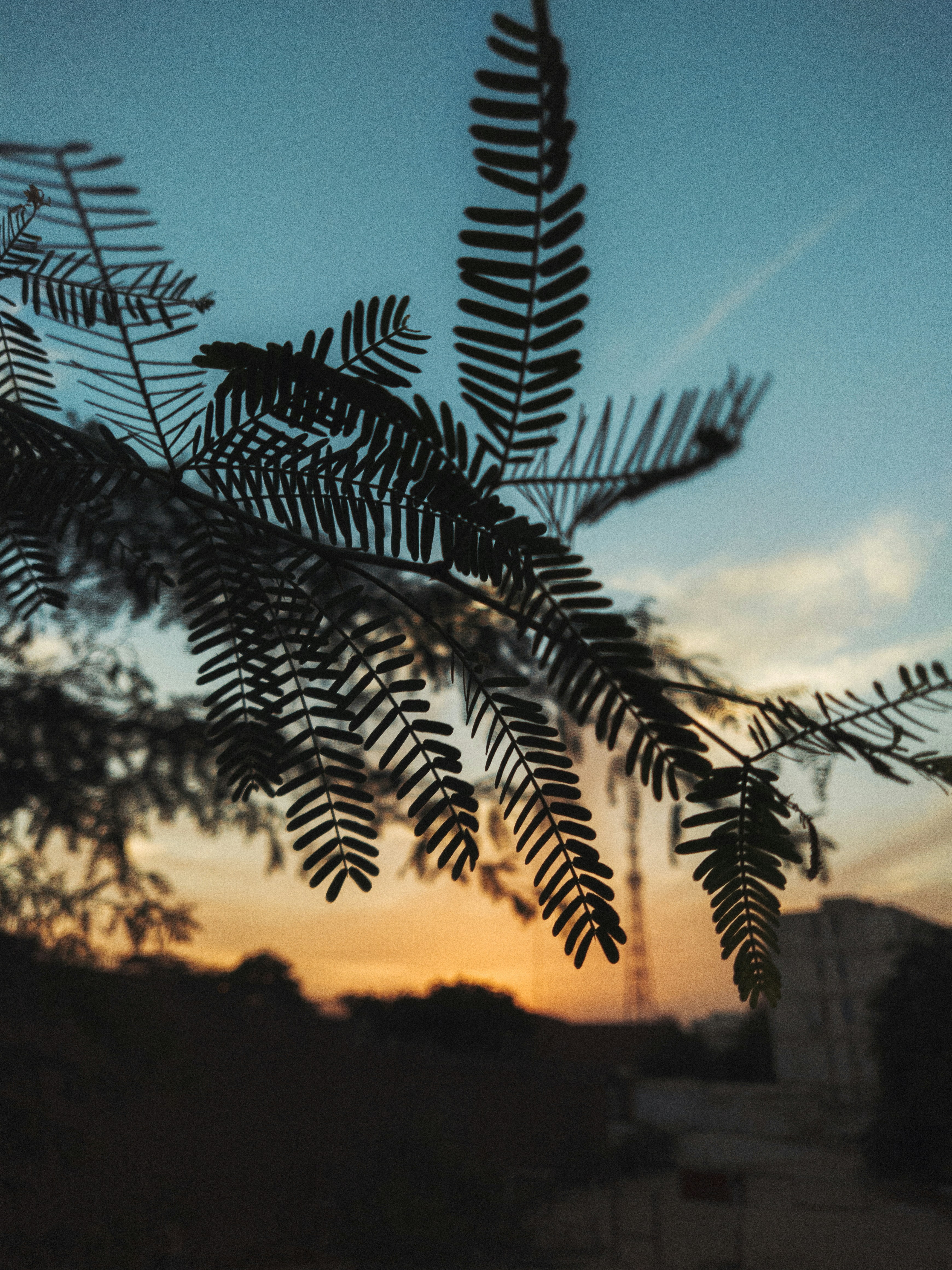 Photo by saadzakiii